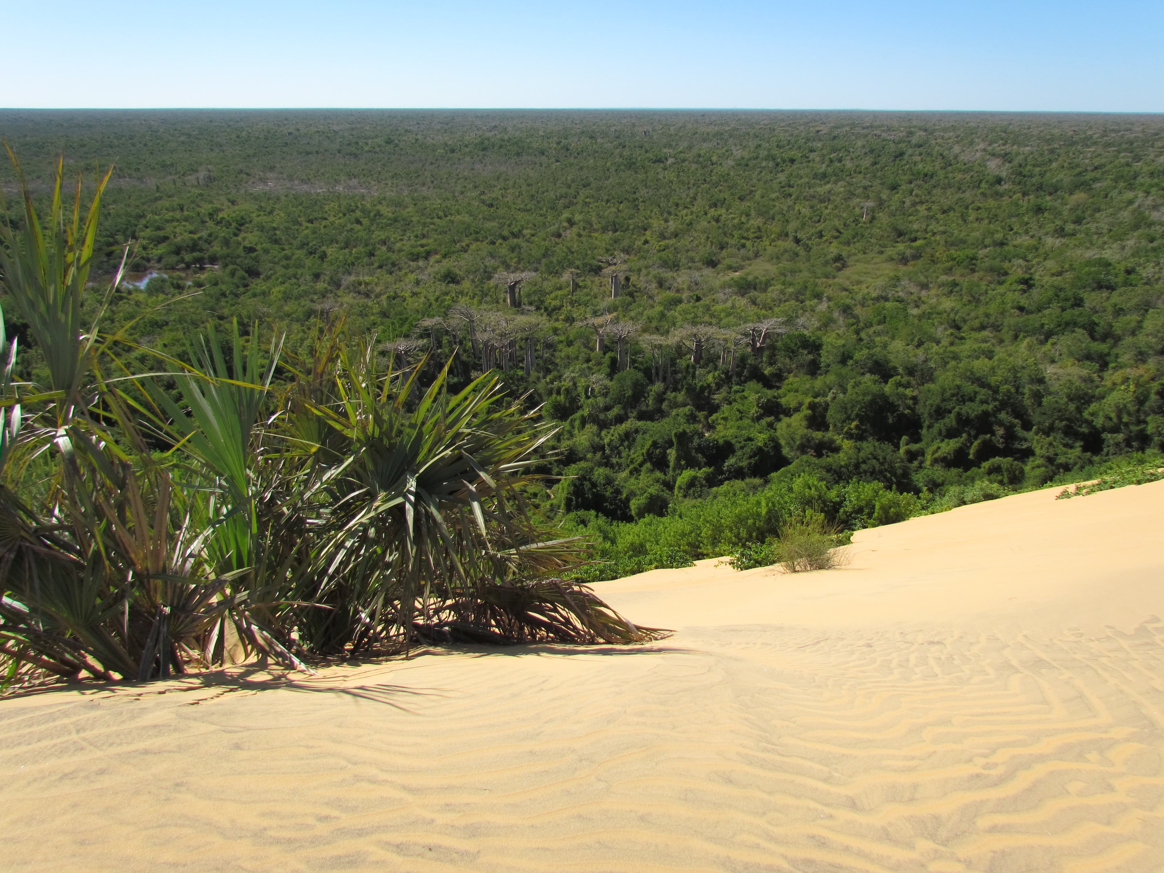 Les dunes de Mite près de Belo sur Mer